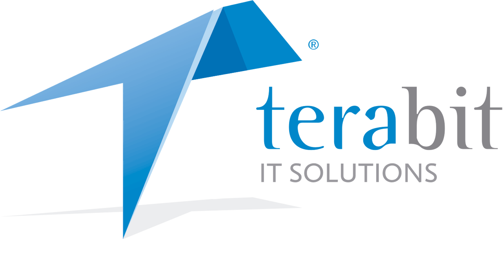 Terabit IT Solutions